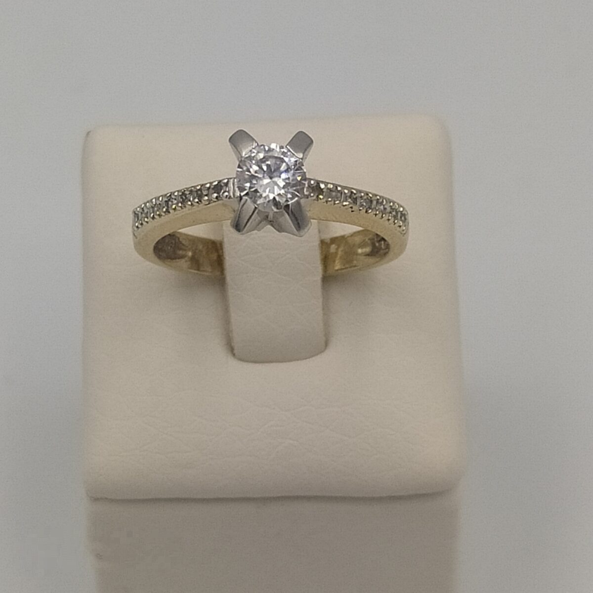 Monopetro daxtylidi 4