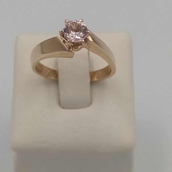 Monopetro daxtylidi 5