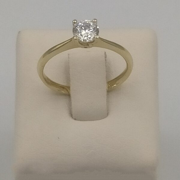 Monopetro daxtylidi 8